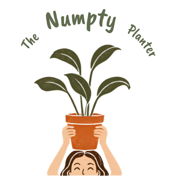 The Numpty Plater